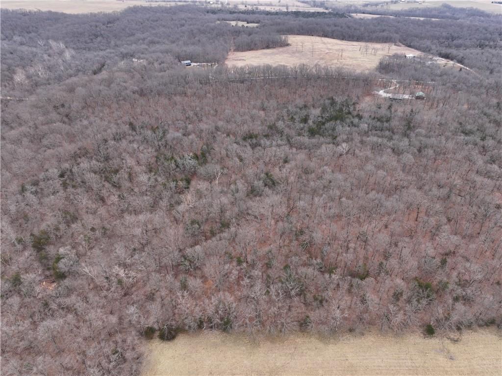 0 North County Road 96 Road Walnut Grove, MO 65770 - Photo 5 of 40
