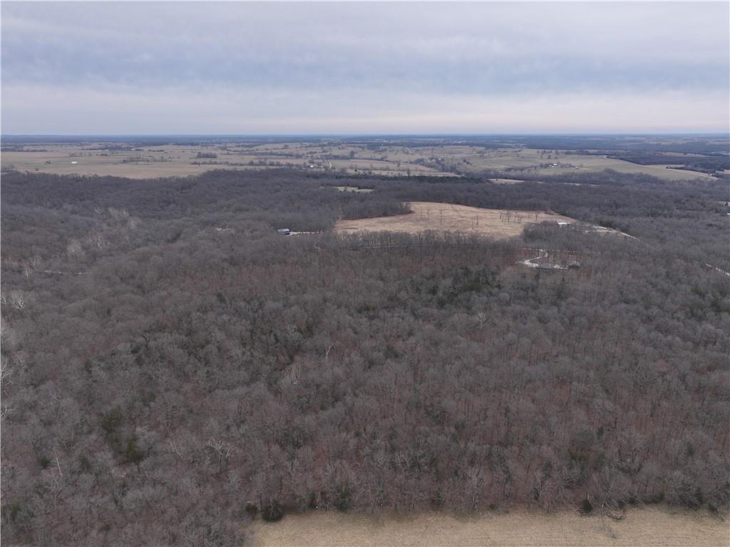 0 North County Road 96 Road Walnut Grove, MO 65770 - Photo 7 of 40