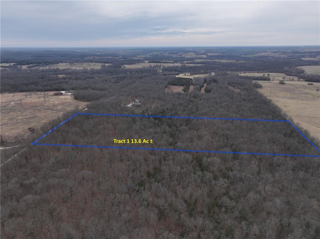 0 North County Road 96 Road Walnut Grove, MO 65770 - Photo 8 of 40