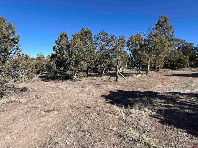 $229,000 | 7371 County Road 310, Ignacio, CO 81137