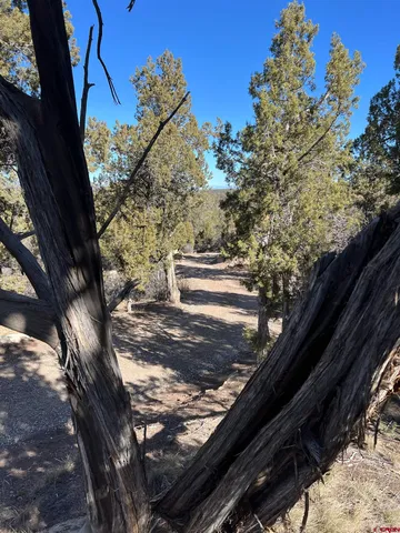 $229,000 | 7371 County Road 310, Ignacio, CO 81137