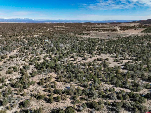 an aerial view of residential building and trees