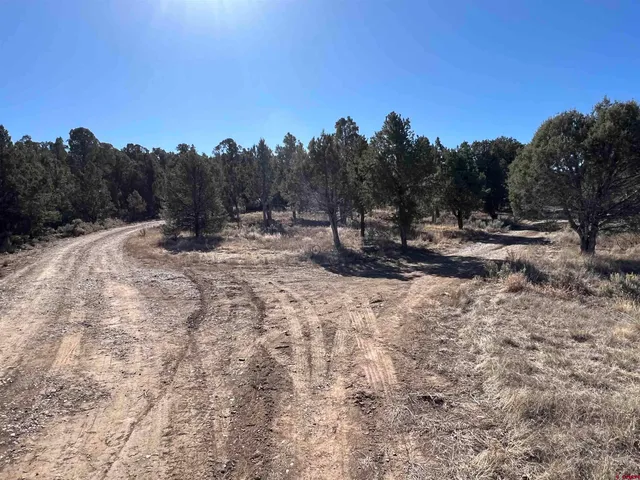 $229,000 | 7371 County Road 310, Ignacio, CO 81137