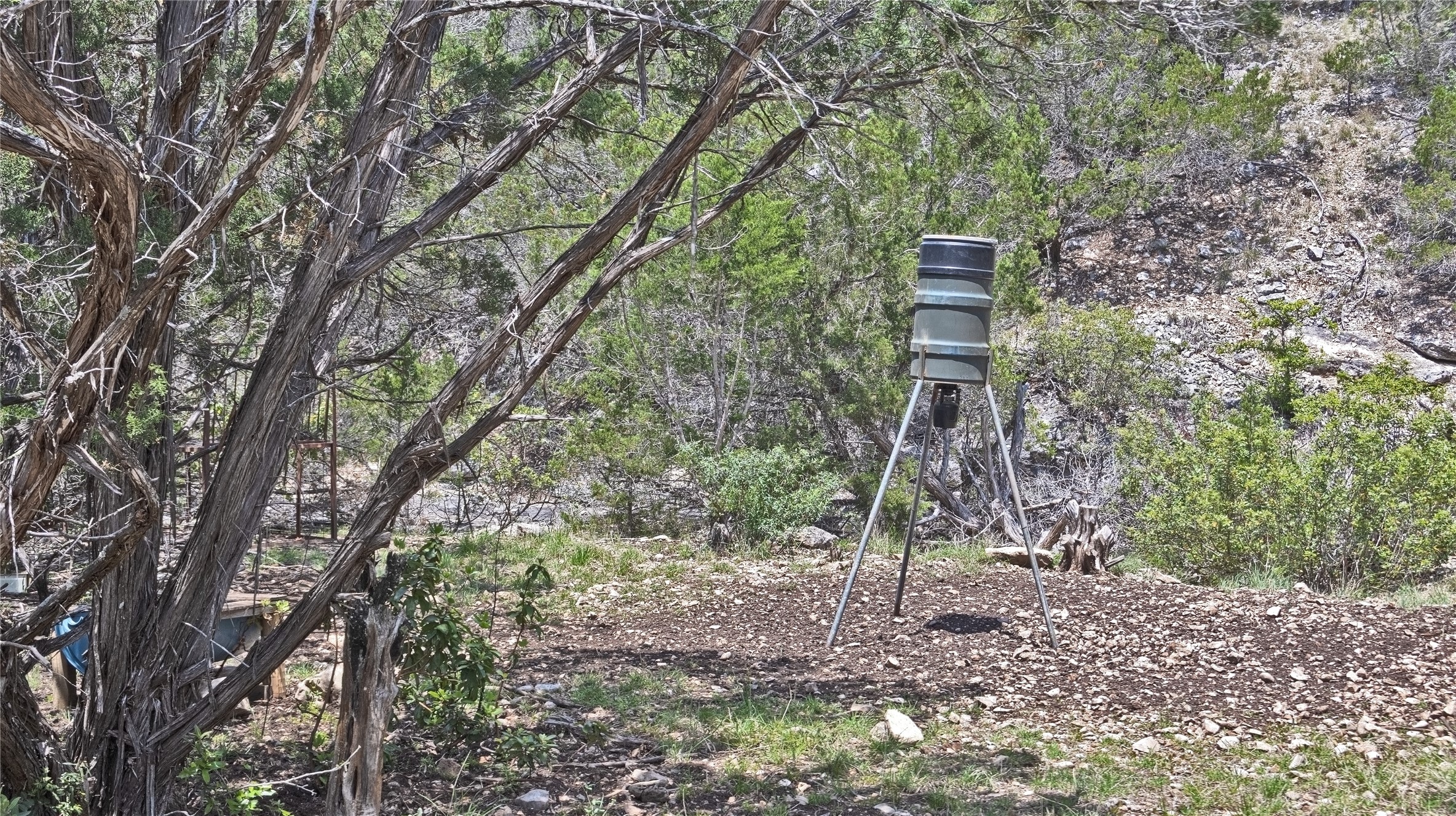 Lot 129 Spring Country Ranch Road Leakey, TX 78873 - Photo 14 of 19 a backyard of a house with lots of green space