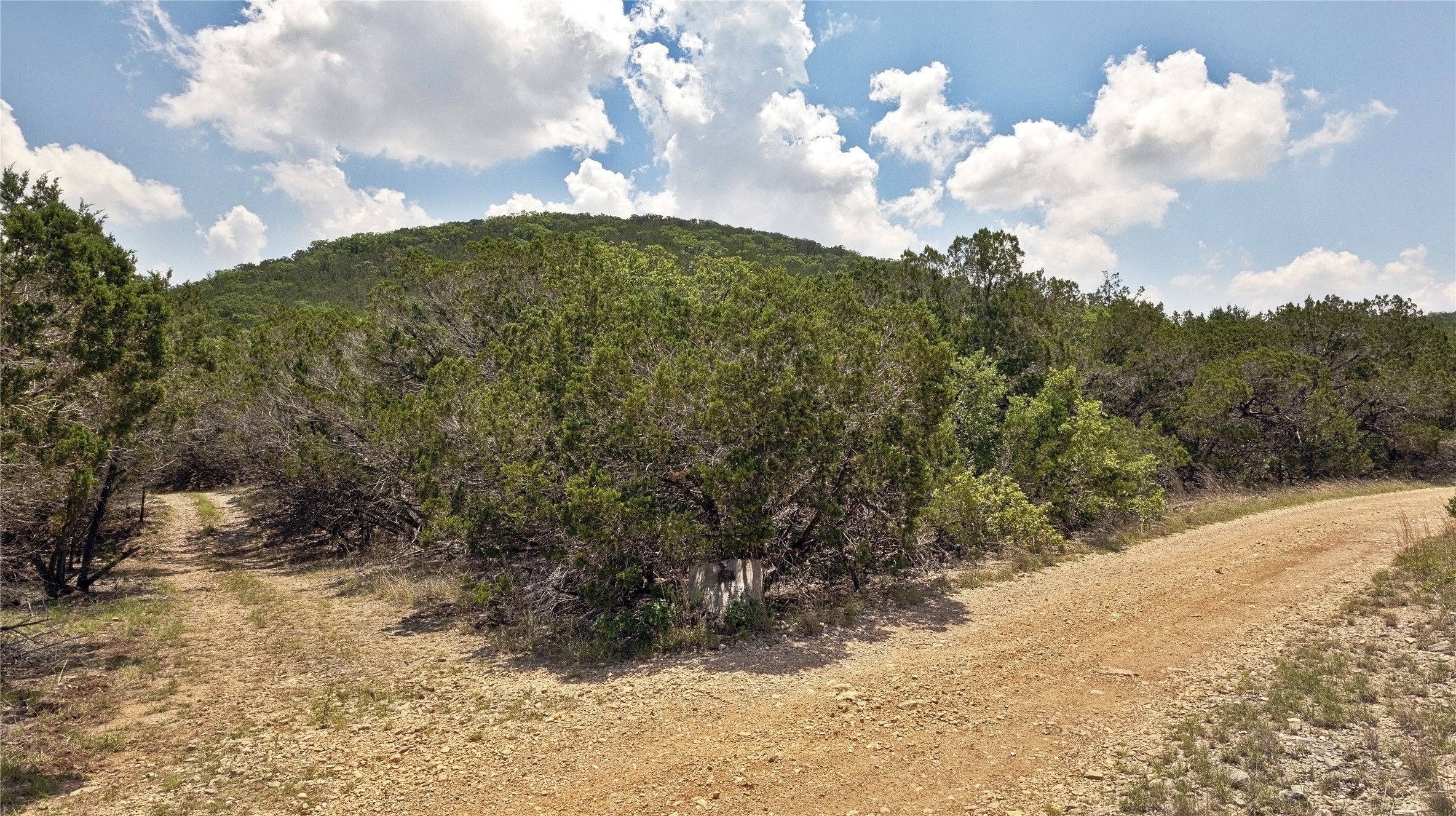 Lot 129 Spring Country Ranch Road Leakey, TX 78873 - Photo 17 of 19 a view of a bunch of trees