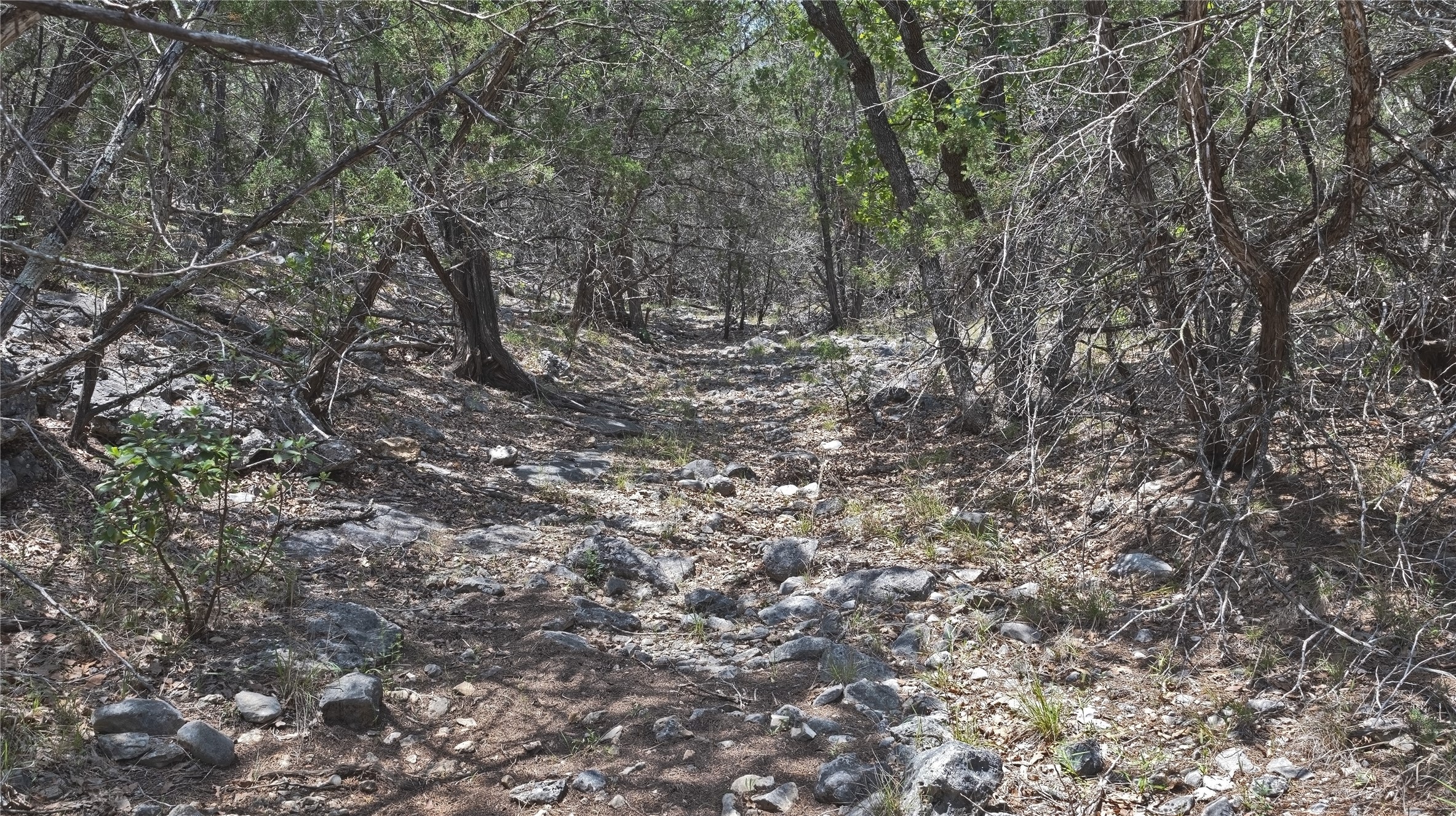 Lot 129 Spring Country Ranch Road Leakey, TX 78873 - Photo 18 of 19 a view of a large tree