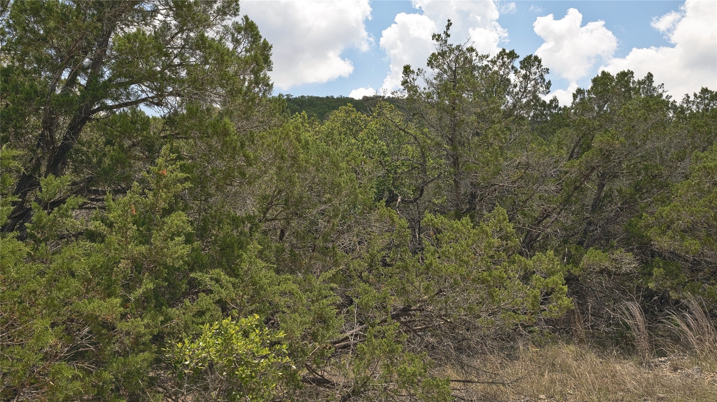 Lot 129 Spring Country Ranch Road Leakey, TX 78873 - Photo 19 of 19 a view of a bunch of trees