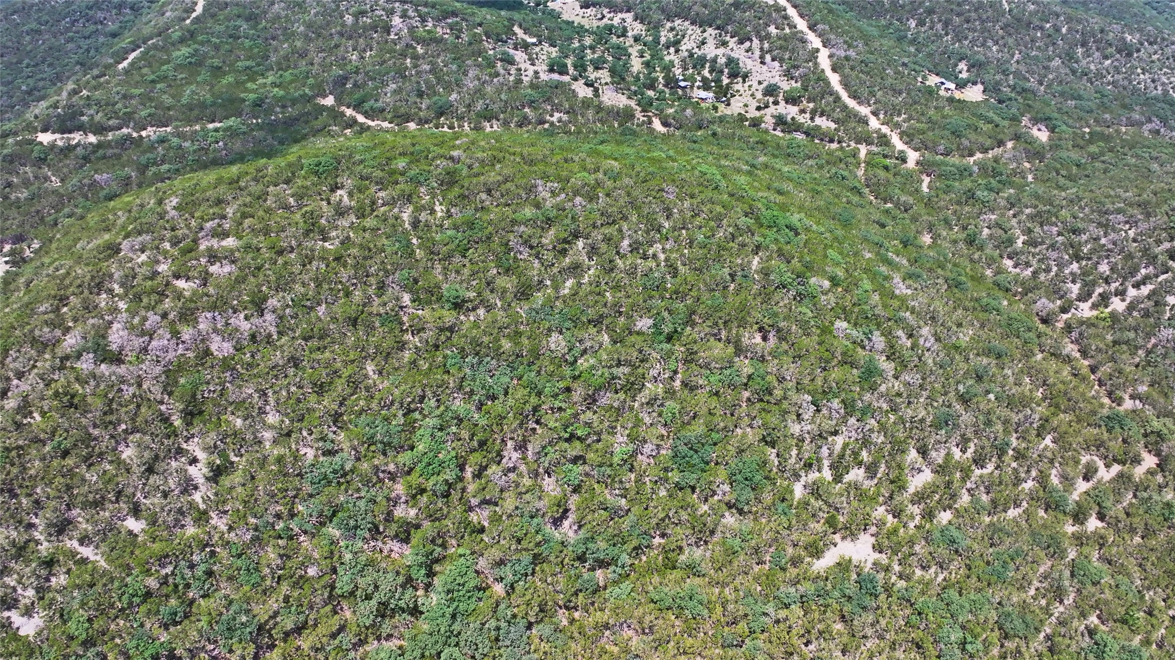 Lot 129 Spring Country Ranch Road Leakey, TX 78873 - Photo 3 of 19 a view of a lush green forest