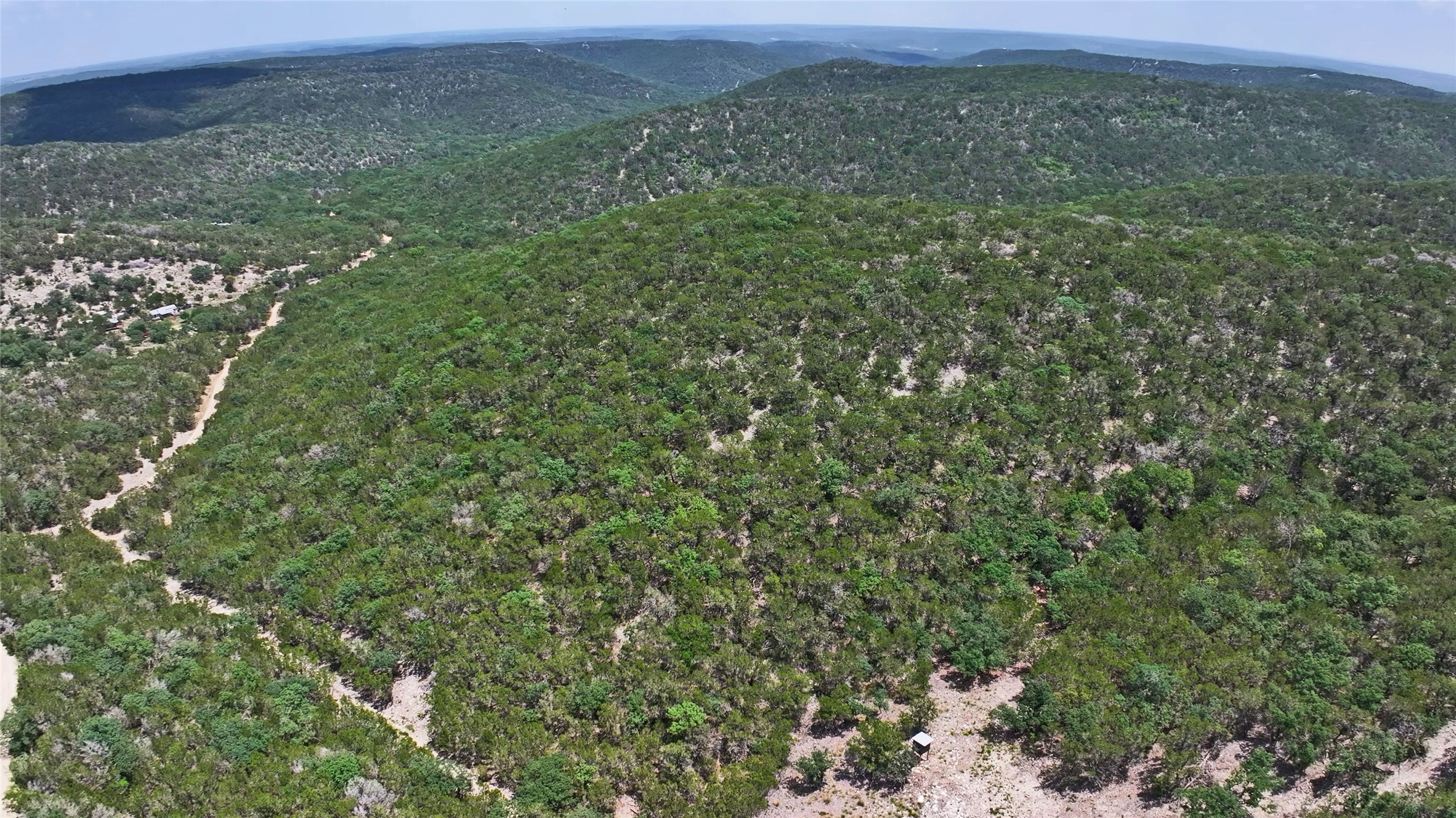 Lot 129 Spring Country Ranch Road Leakey, TX 78873 - Photo 4 of 19 a view of a big yard with plants and large tree