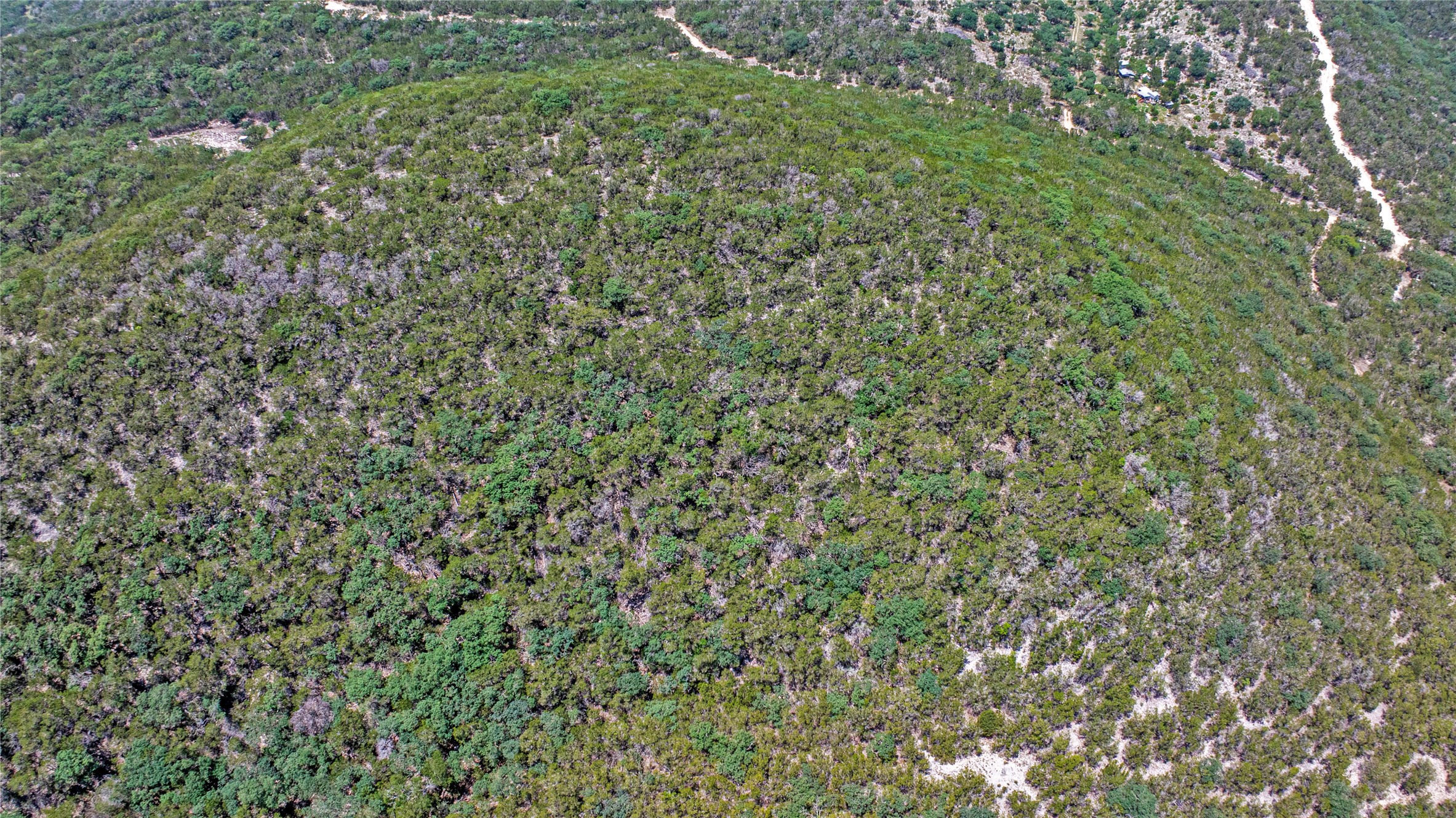 Lot 129 Spring Country Ranch Road Leakey, TX 78873 - Photo 7 of 19 a view of a lush green forest