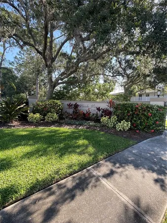 a view of a yard