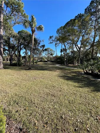 a view of a yard with a tree
