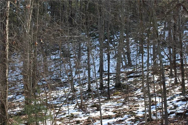 $35,000 | 21 Deer Path, East Stroudsburg, PA 18302