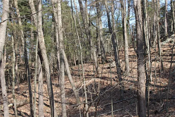 $35,000 | 21 Deer Path, East Stroudsburg, PA 18302