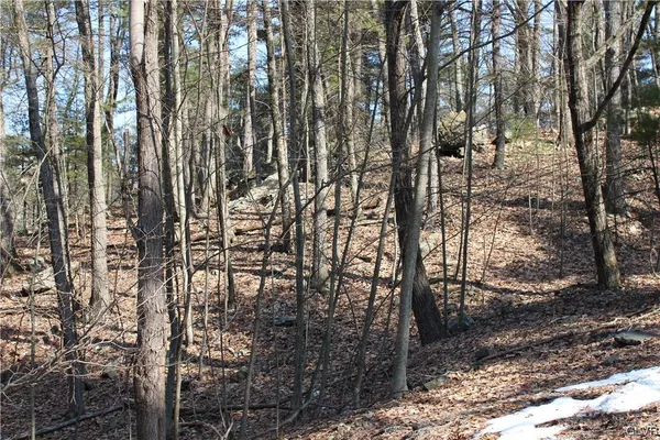 $35,000 | 21 Deer Path, East Stroudsburg, PA 18302