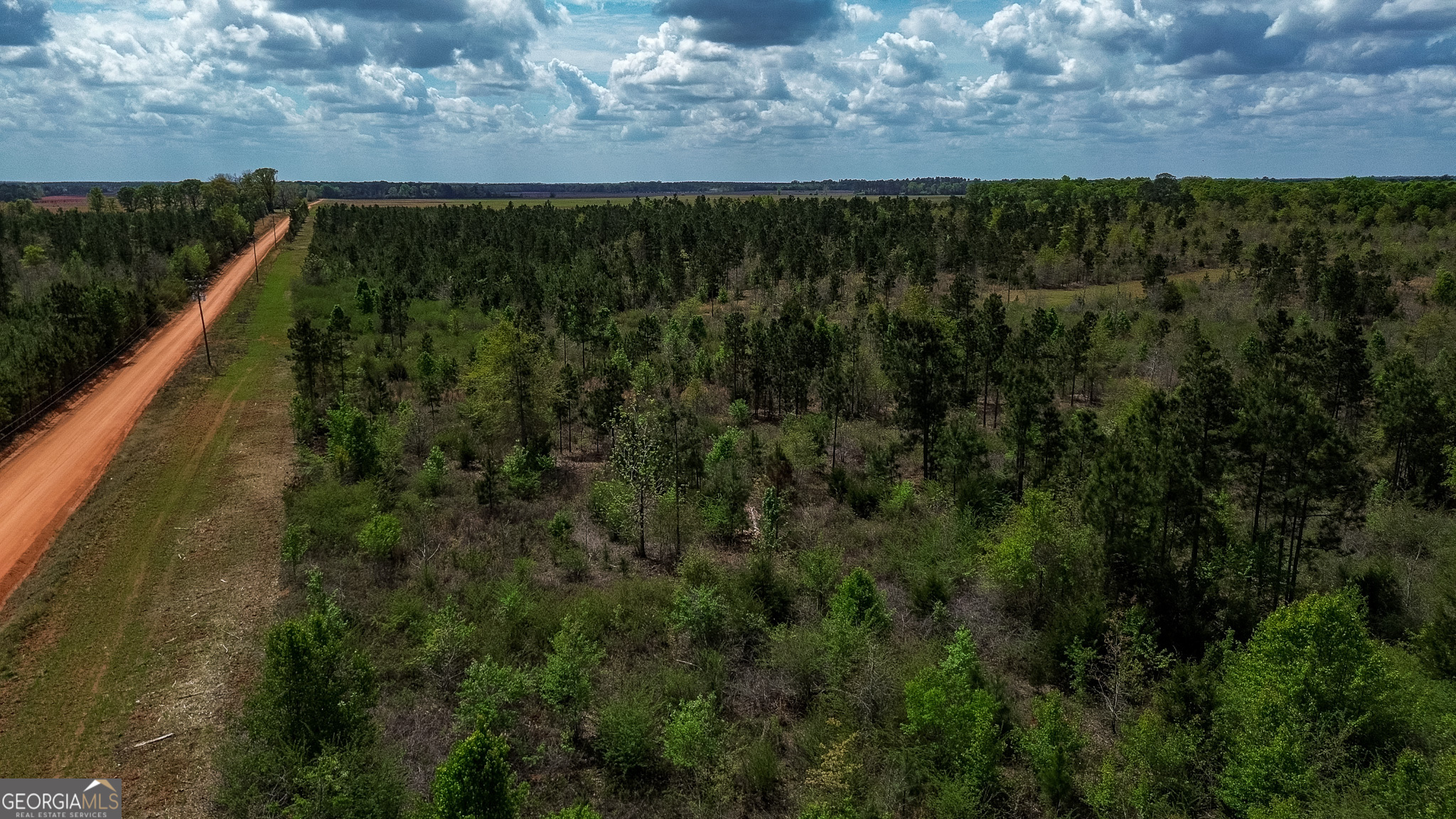 1 Harrell Road Parrott, GA 39877 - Photo 14 of 15