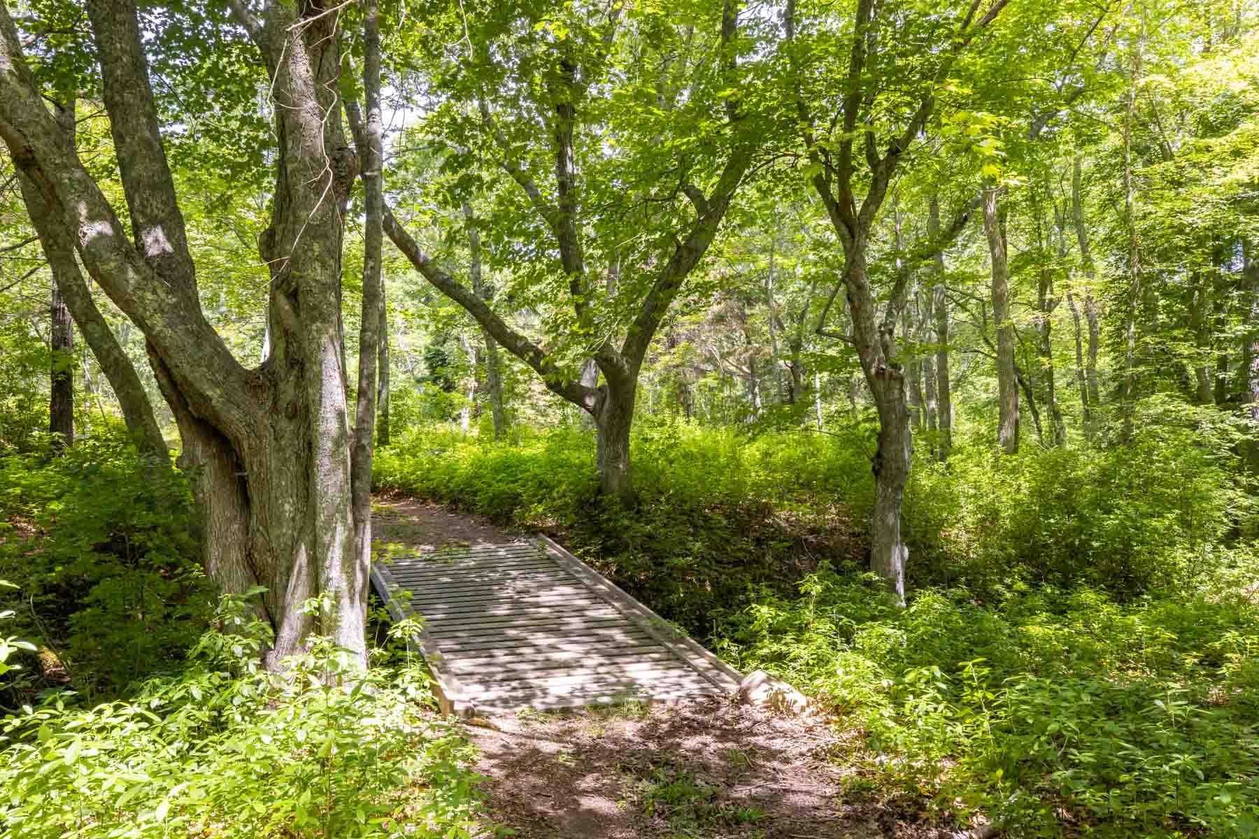 277 N Road Chilmark, MA 02535 - Photo 11 of 14 a pathway of a yard