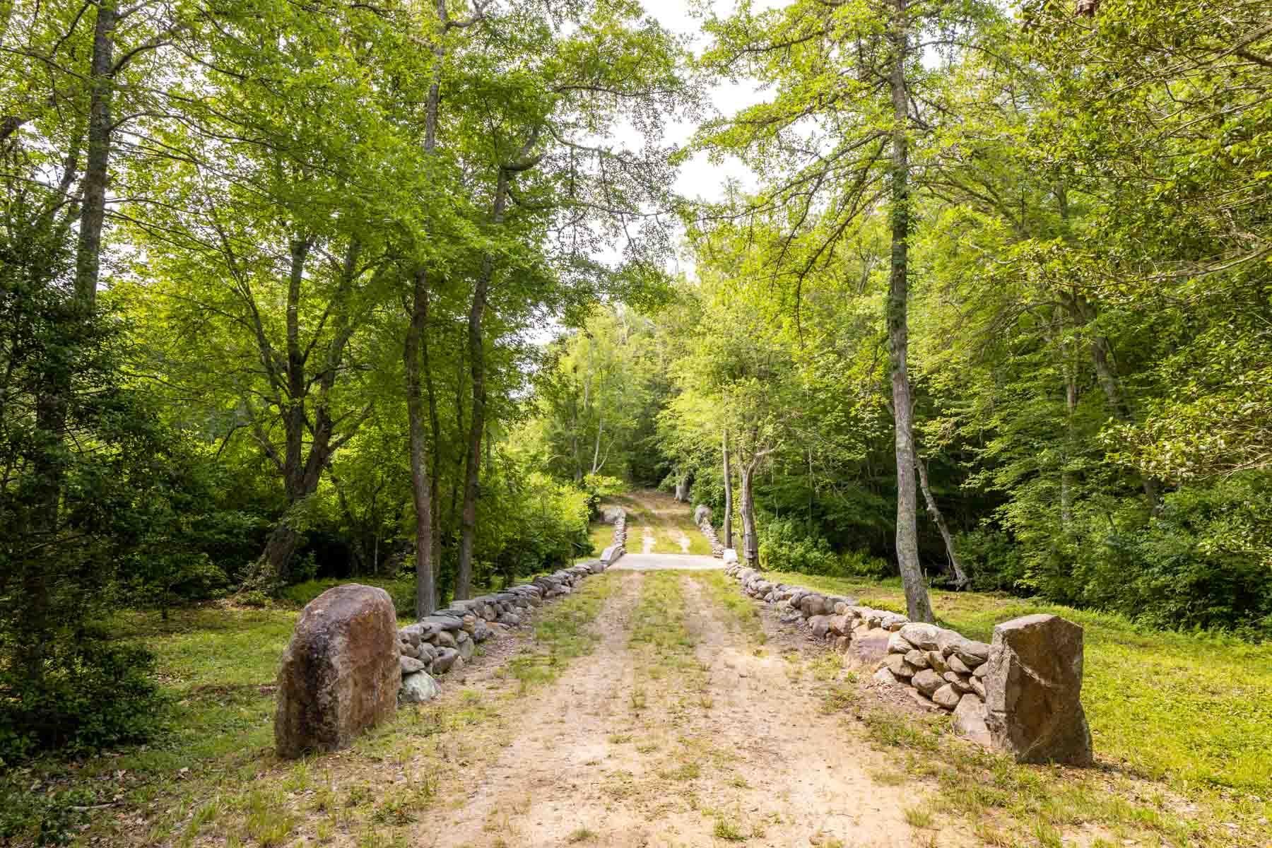277 N Road Chilmark, MA 02535 - Photo 6 of 14 a view of a yard with plants and trees