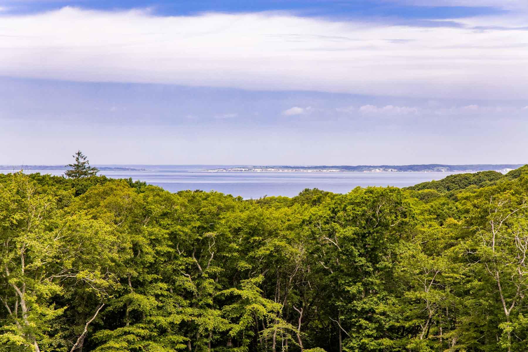 277 N Road Chilmark, MA 02535 - Photo 7 of 14 a view of a yard