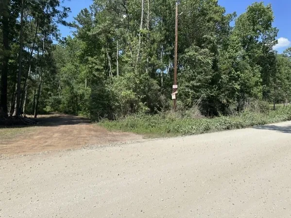 $45,000 | 13035 Hollybrook Drive, Plantersville, TX 77363