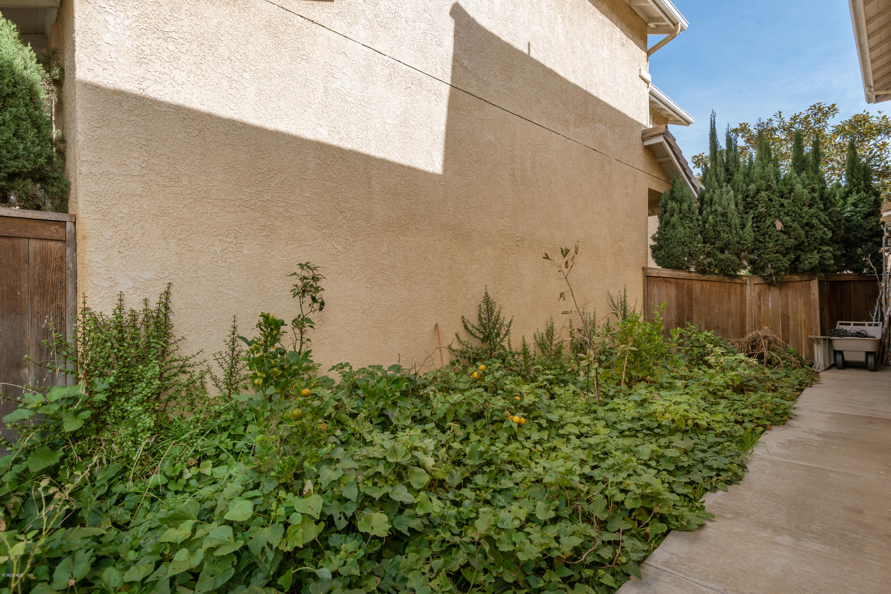 2045 Veracruz Lane Oxnard, CA 93036 - Photo 15 of 15 11-Side Garden