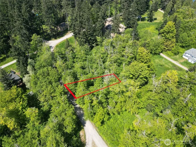 a backyard of a house with lots of green space and trees