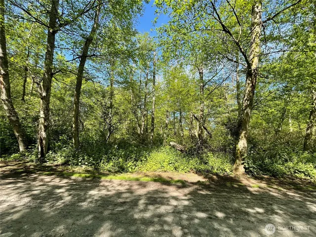 a view of outdoor space and trees