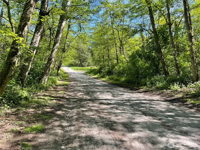 a view of a yard with a tree