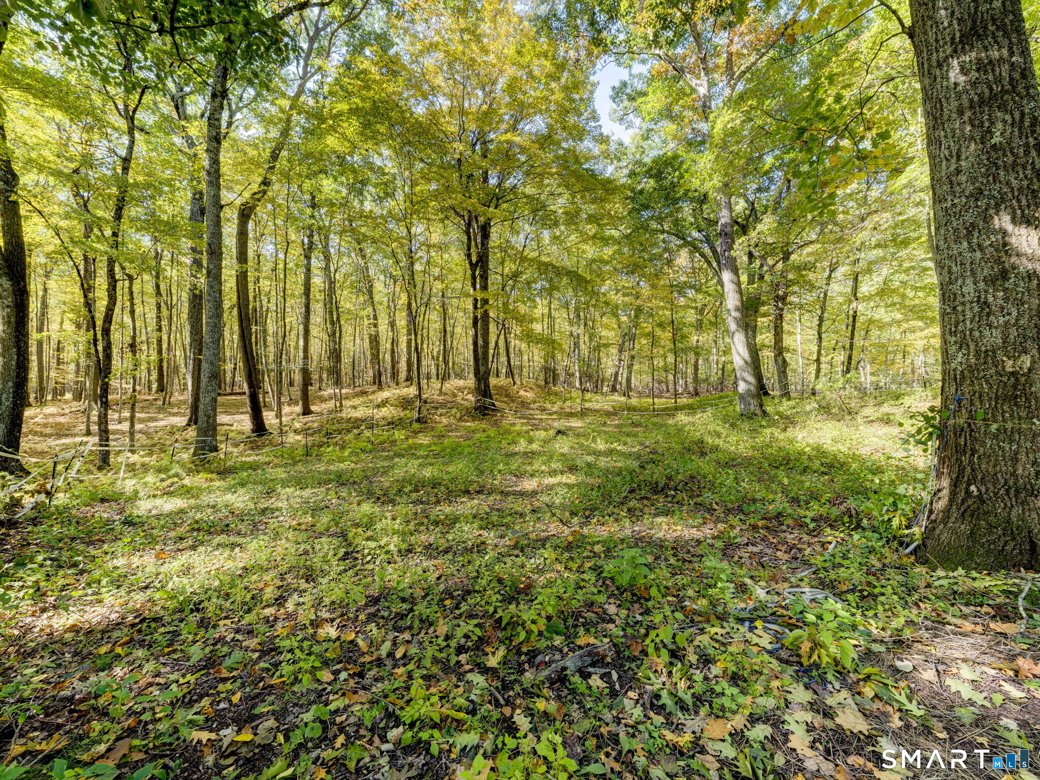 81 West Morris Road Washington, CT 06794 - Photo 33 of 35 Gallery Image 33