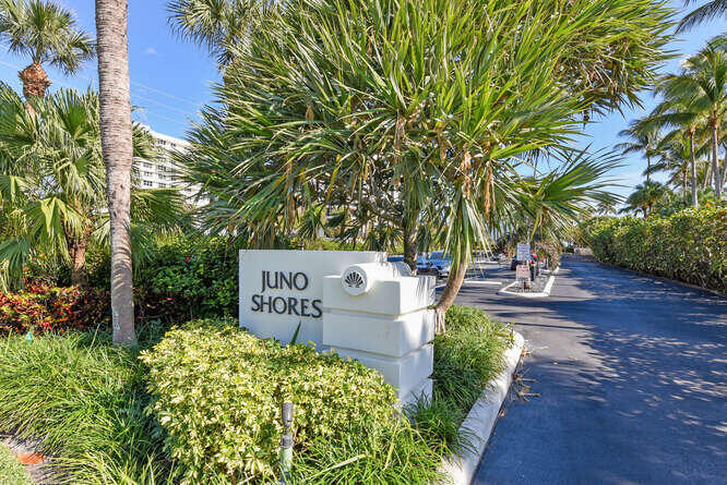 420 Celestial Way, Unit 301 Juno Beach, FL 33408 - Photo 16 of 51 a view of a park with plants and trees