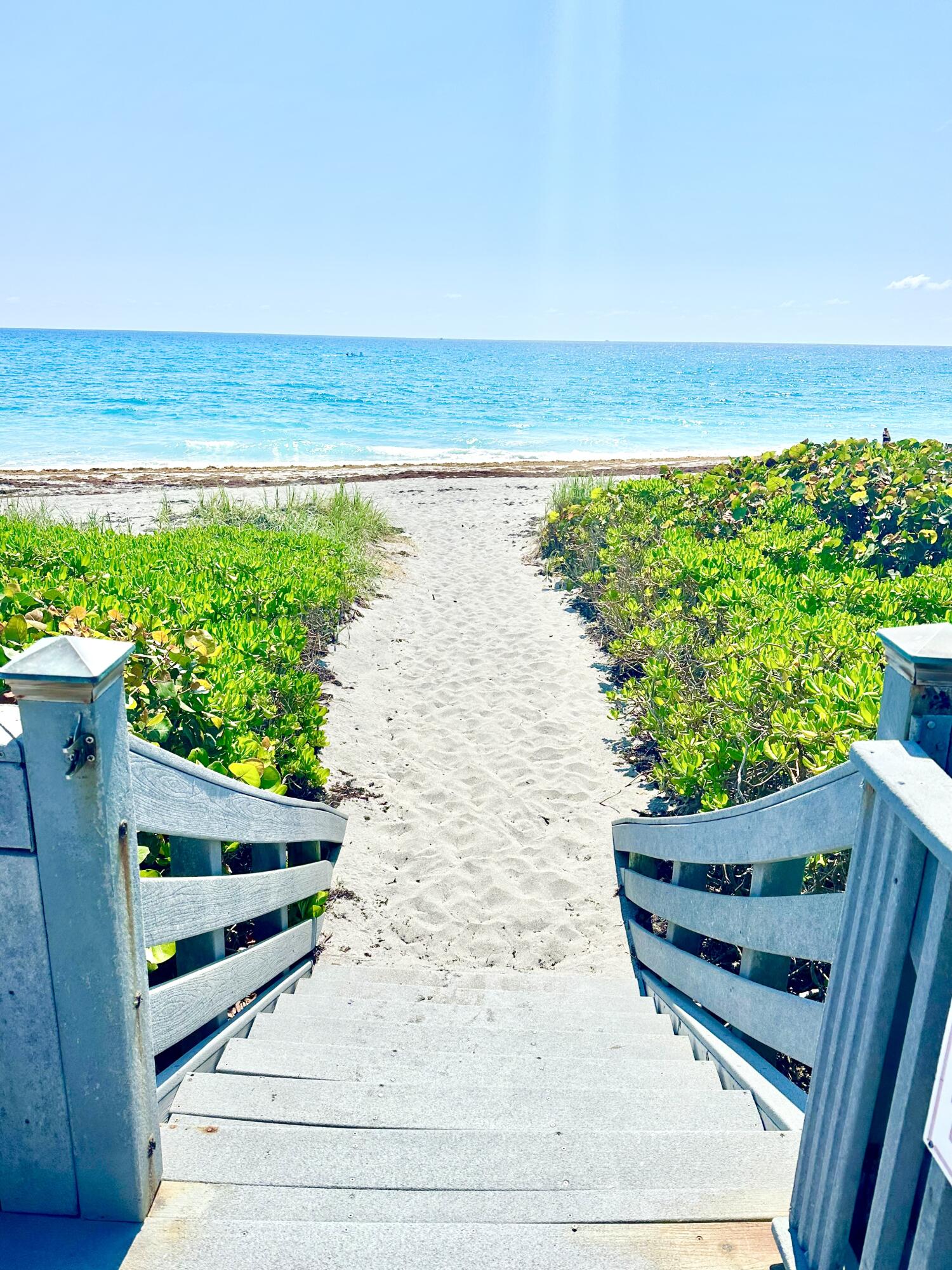 420 Celestial Way, Unit 301 Juno Beach, FL 33408 - Photo 7 of 51 a view of a ocean from a balcony
