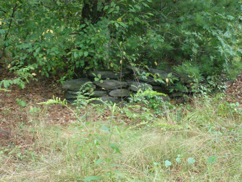 0 Stebbins Road Monson, MA 01057 - Photo 5 of 5 Gallery Image 5