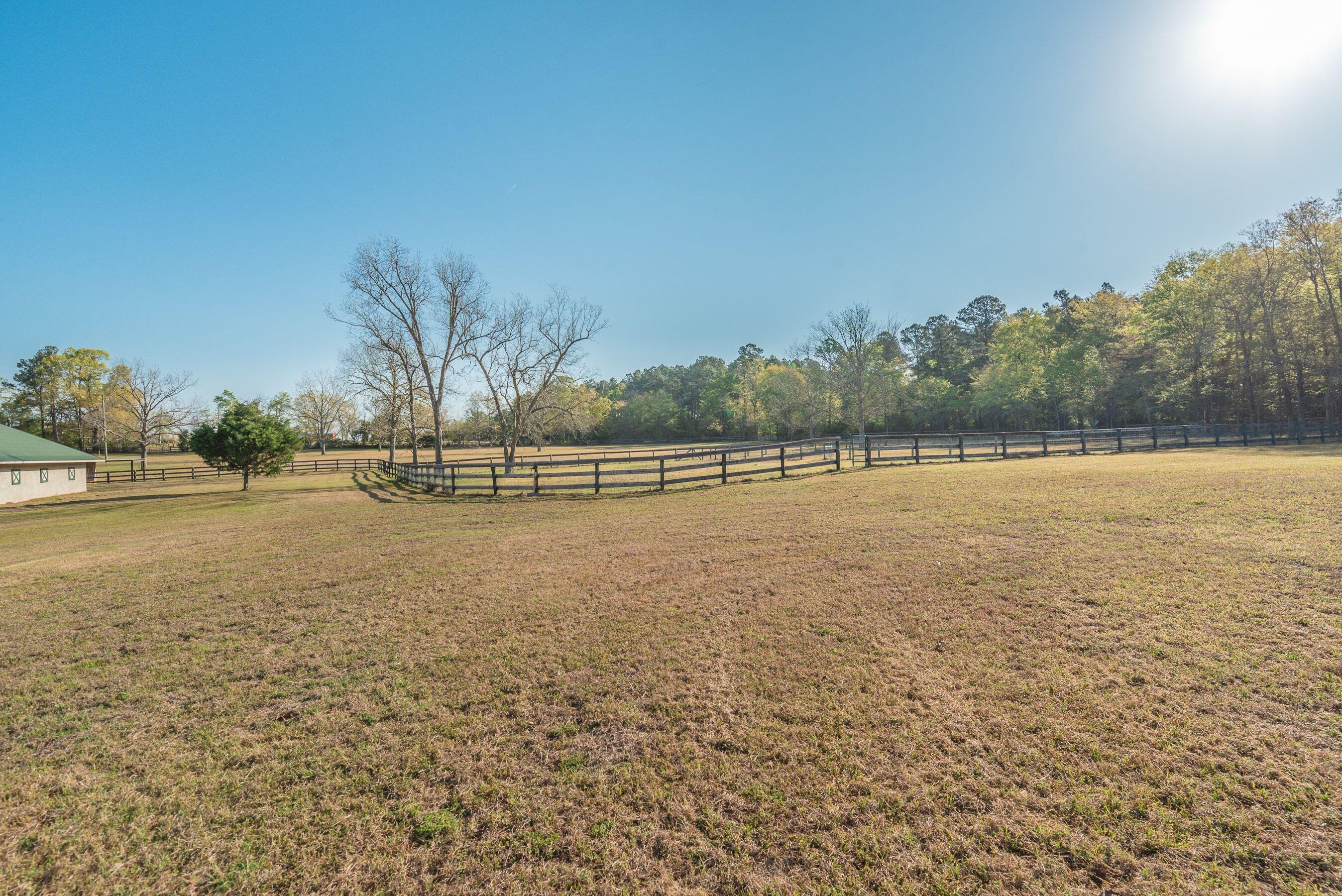 252 Moseley Road Williston, SC 29853 - Photo 54 of 64