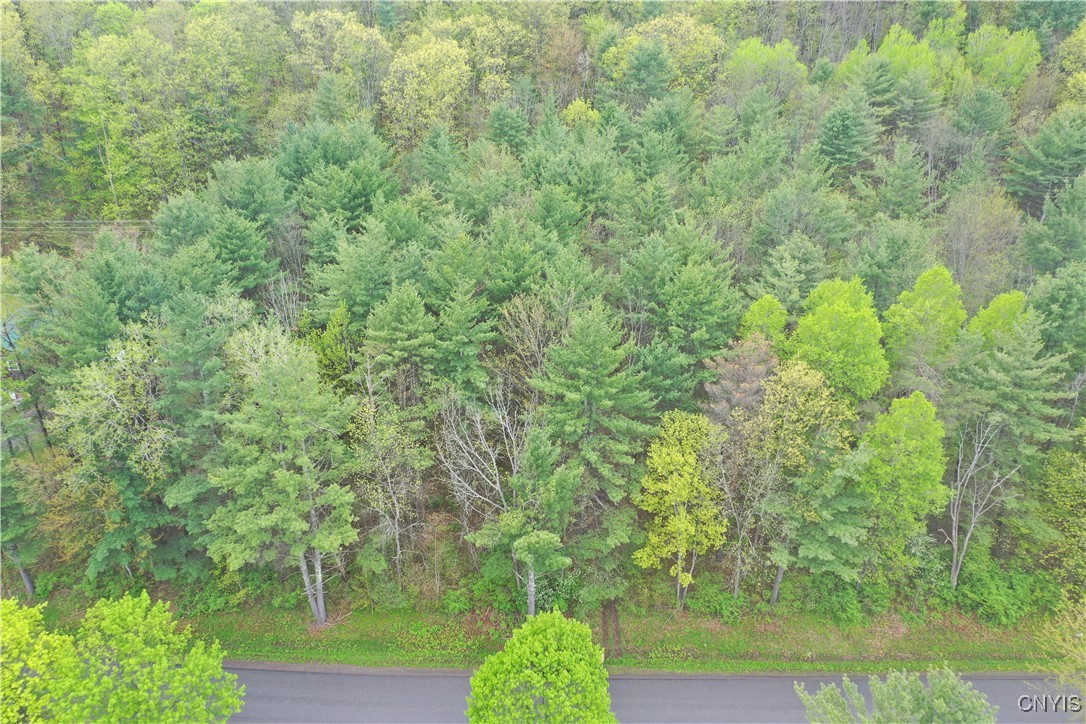Kilkenny Road Unadilla, NY 13849 - Photo 11 of 17