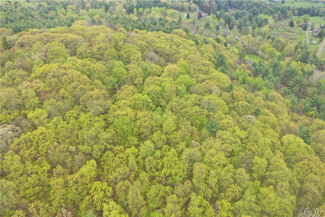 Kilkenny Road Unadilla, NY 13849 - Photo 12 of 17