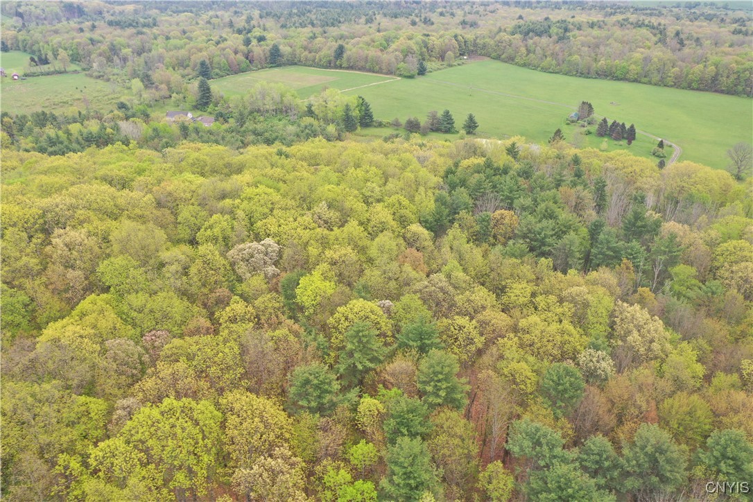 Kilkenny Road Unadilla, NY 13849 - Photo 13 of 17