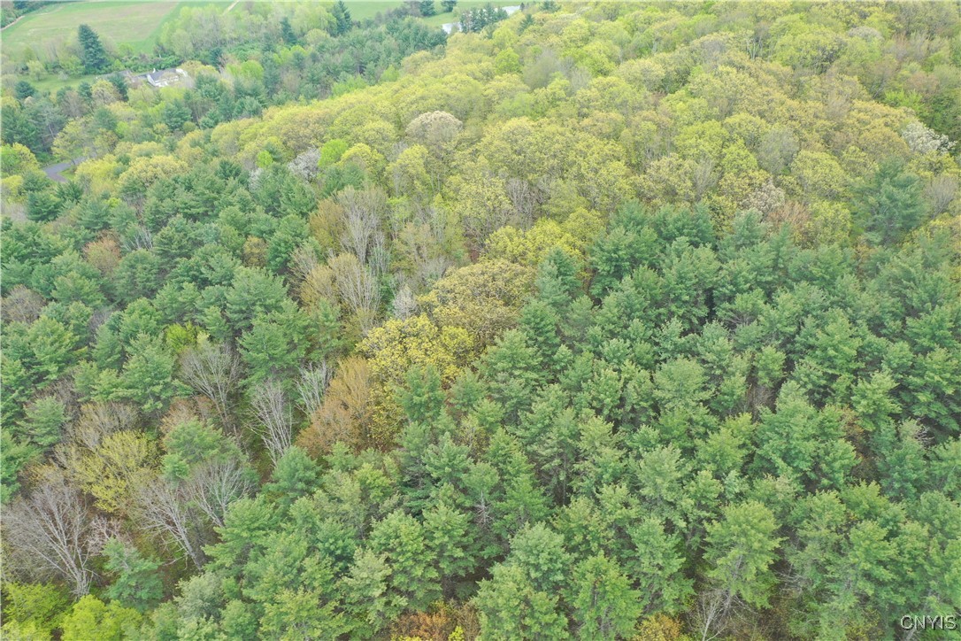 Kilkenny Road Unadilla, NY 13849 - Photo 14 of 17