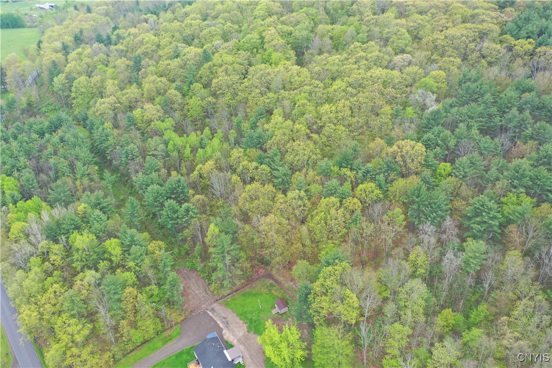 Kilkenny Road Unadilla, NY 13849 - Photo 15 of 17