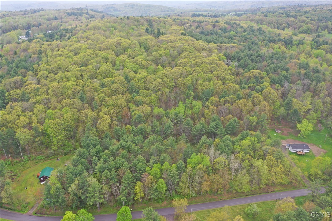 Kilkenny Road Unadilla, NY 13849 - Photo 16 of 17