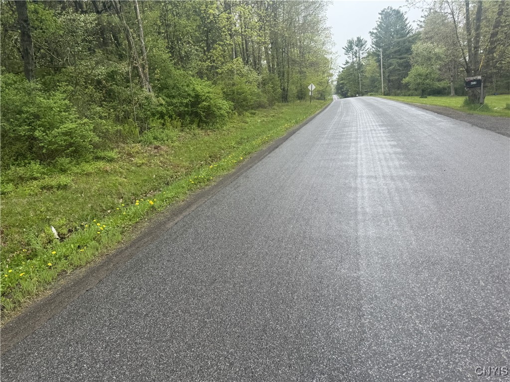 Kilkenny Road Unadilla, NY 13849 - Photo 4 of 17