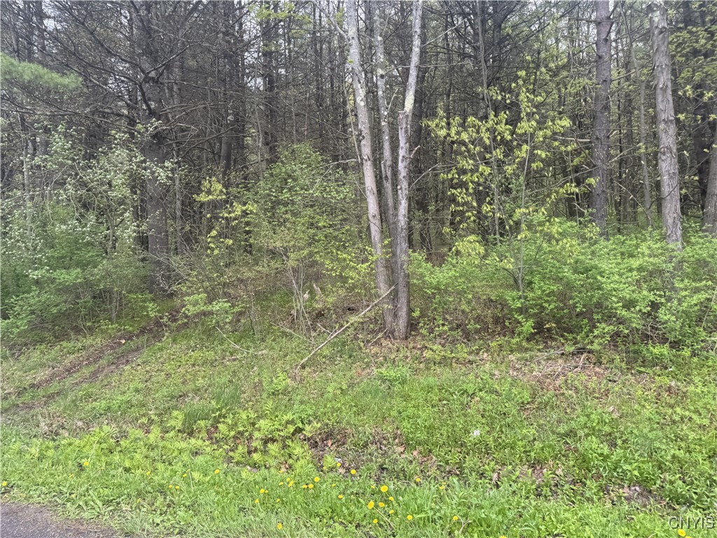 Kilkenny Road Unadilla, NY 13849 - Photo 5 of 17