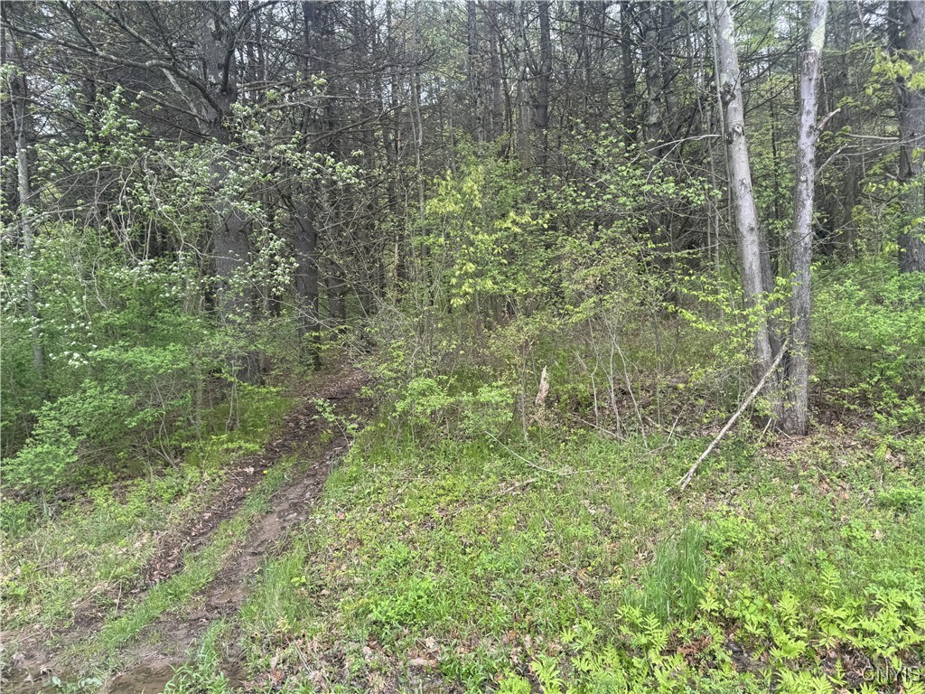 Kilkenny Road Unadilla, NY 13849 - Photo 6 of 17