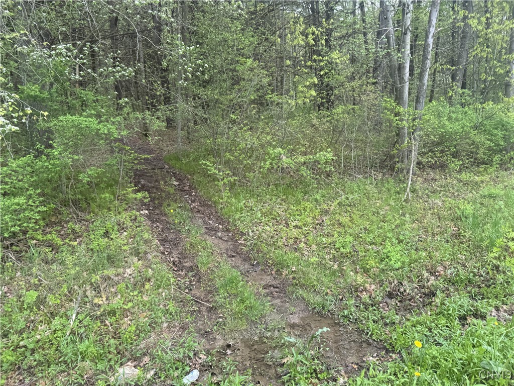 Kilkenny Road Unadilla, NY 13849 - Photo 7 of 17