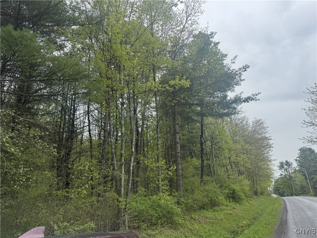 Kilkenny Road Unadilla, NY 13849 - Photo 9 of 17