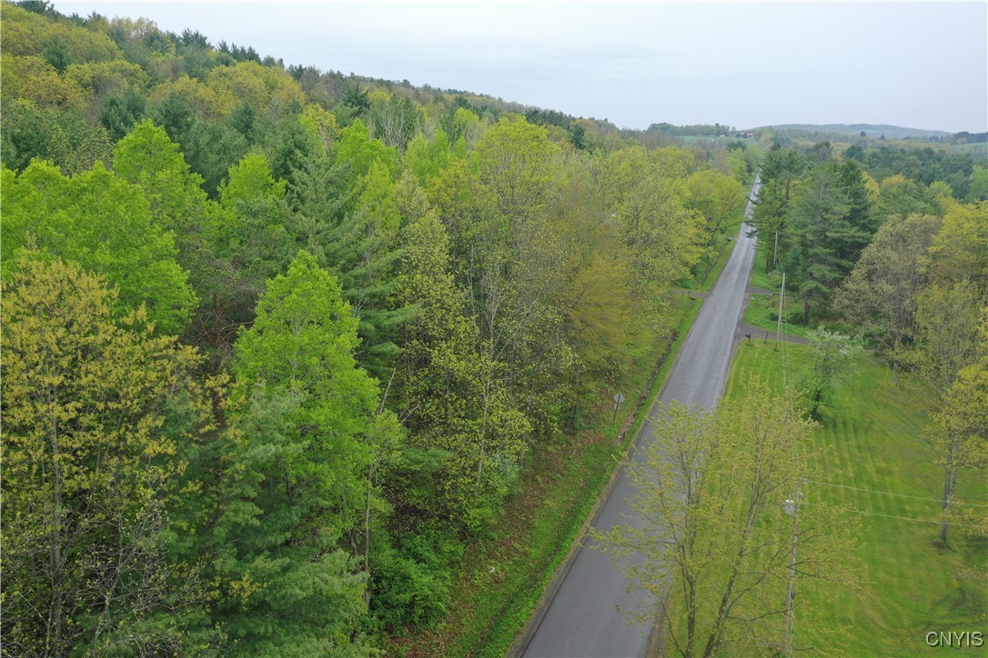 Kilkenny Road Unadilla, NY 13849 - Photo 10 of 17