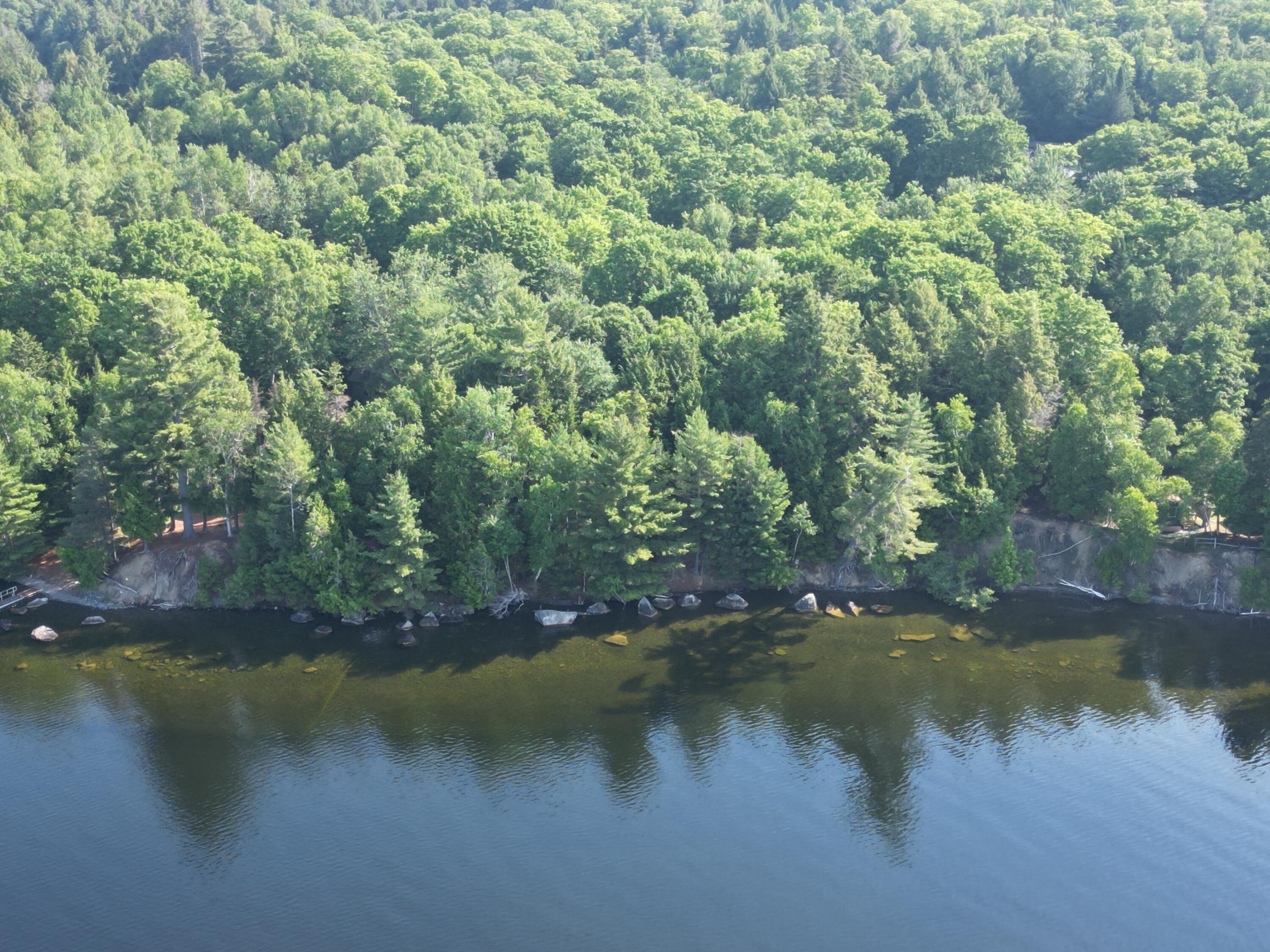 10 Black Point Road Beaver Cove, ME 04441 - Photo 6 of 16 DJI_0692