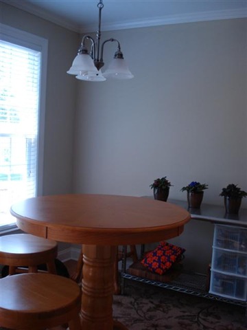 308 Edens Ridge Drive Six Mile, SC 29682 - Photo 10 of 25 Gallery Image 10