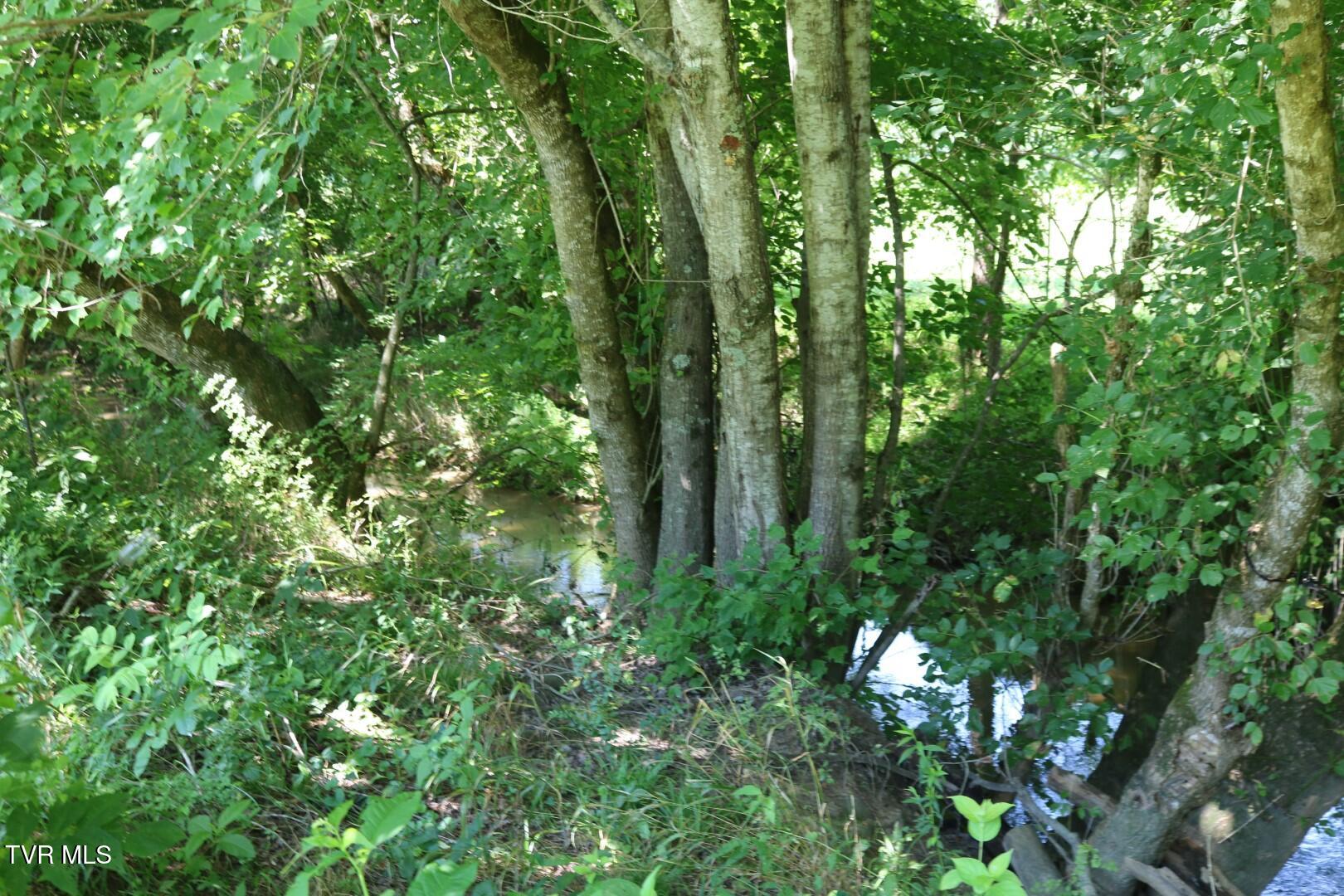 4115 Afton Road Afton, TN 37616 - Photo 27 of 30 IMG_9097
