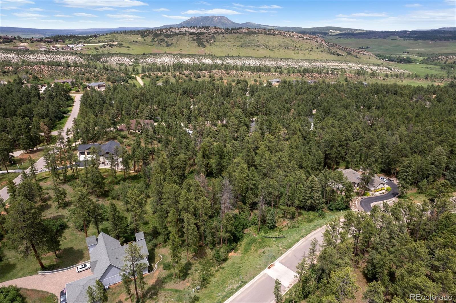 8058 Inca Road Larkspur, CO 80118 - Photo 3 of 6 an aerial view of forest