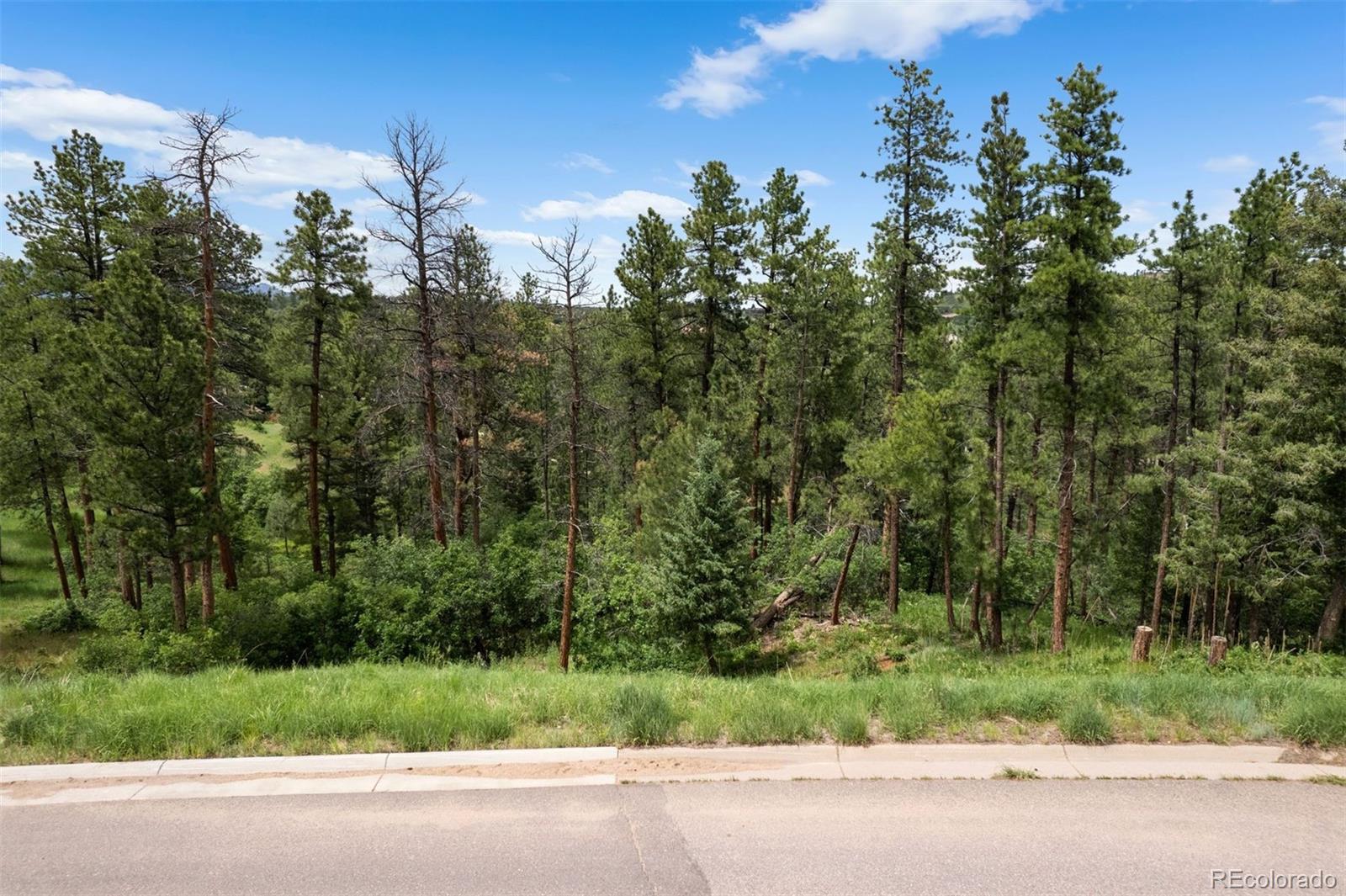 8058 Inca Road Larkspur, CO 80118 - Photo 4 of 6 a view of a yard and a street view